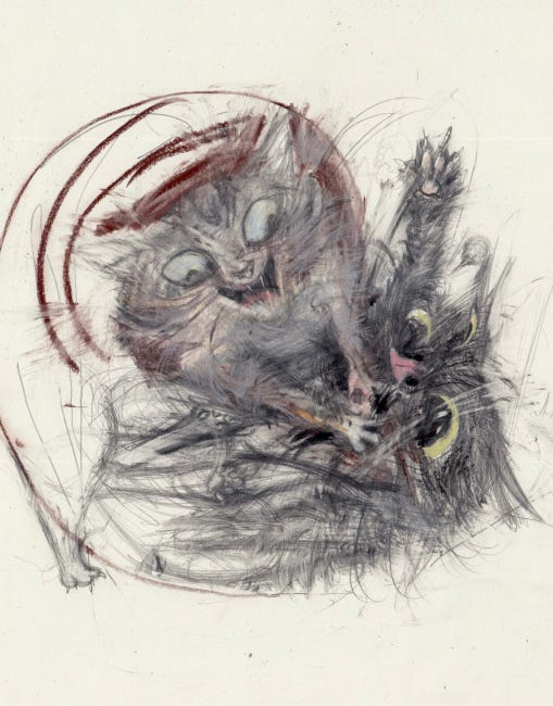 Deux chats gris se battent, celui qui domine l'autre a l'air extrêmement jovial, le second paraît plus inquiet.