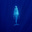 Cristina's avatar