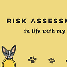 How I make risk assessments in life with my dog