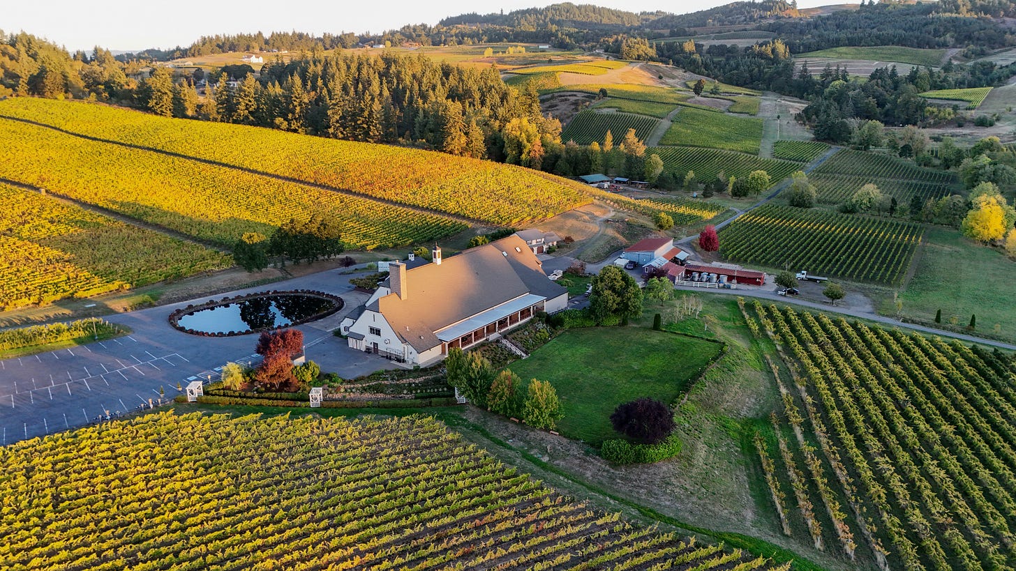 Aerial view of a vineyard estate surrounded by rolling hills covered in rows of grapevines. A large winery building with a sloped roof sits beside a reflective pond and landscaped lawn, with additional farm structures nearby. The scene is bathed in warm golden sunlight, highlighting the autumn hues of the vineyard and the forested hills in the distance.