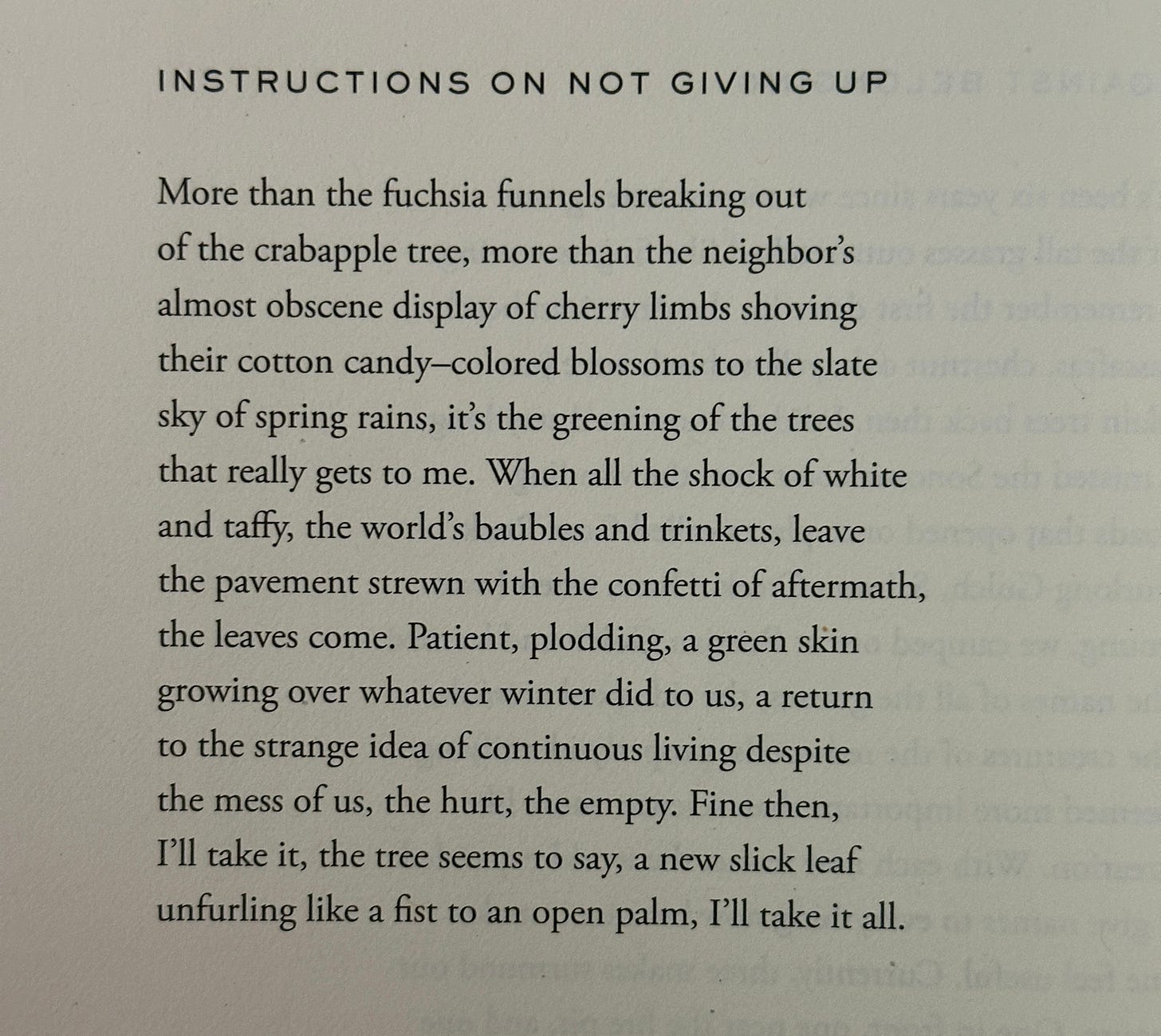 a photo of a poem by ada limon