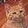 Gingerman's avatar