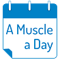 A Muscle a Day