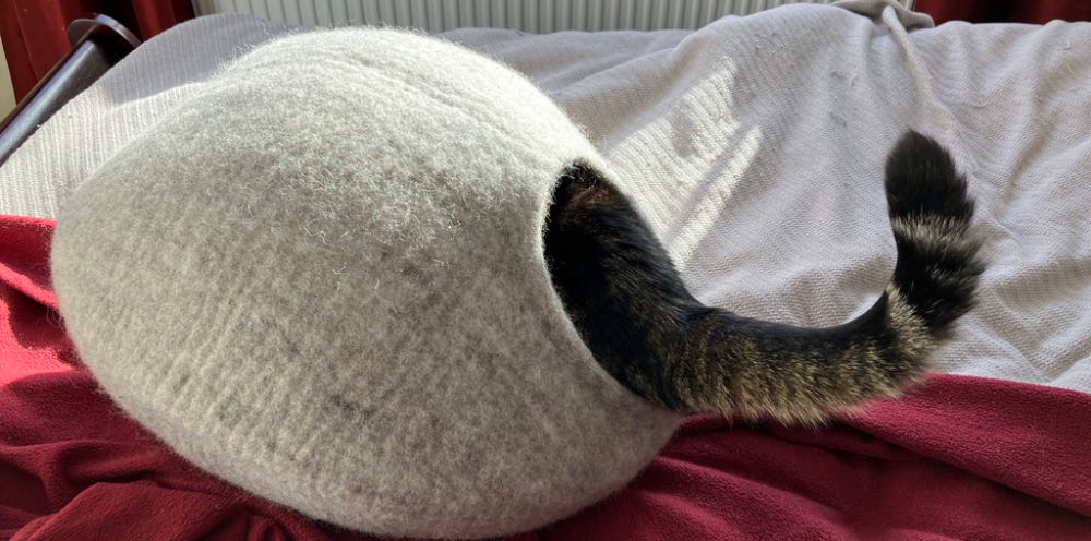 Grabbity's tail extending out of the entrance to her grey felt cat cave. Grabbity's tail extending out of the entrance to her grey felt cat cave.