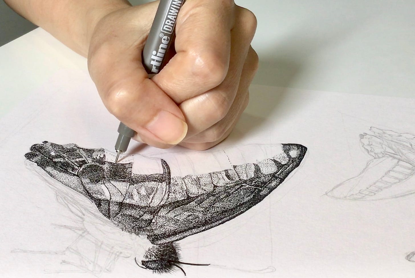 small picture of me drawing in process
