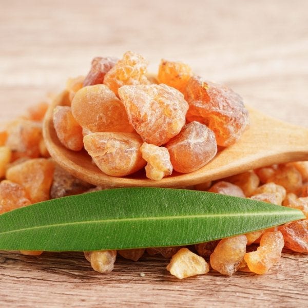 Frankincense (Boswellia serrata)