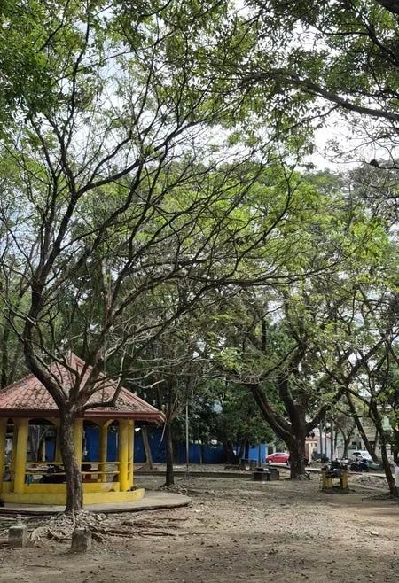 Kwentong Autism: My Conversation with an Old Lady at the Park Kwentong Autism: My Conversation with an Old Lady at the Park