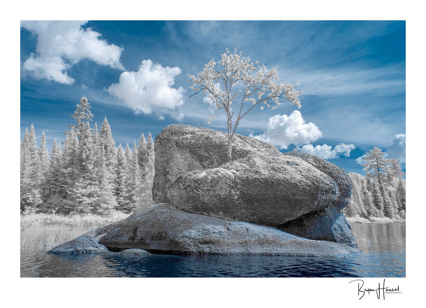 A rock island with a little tree on it.