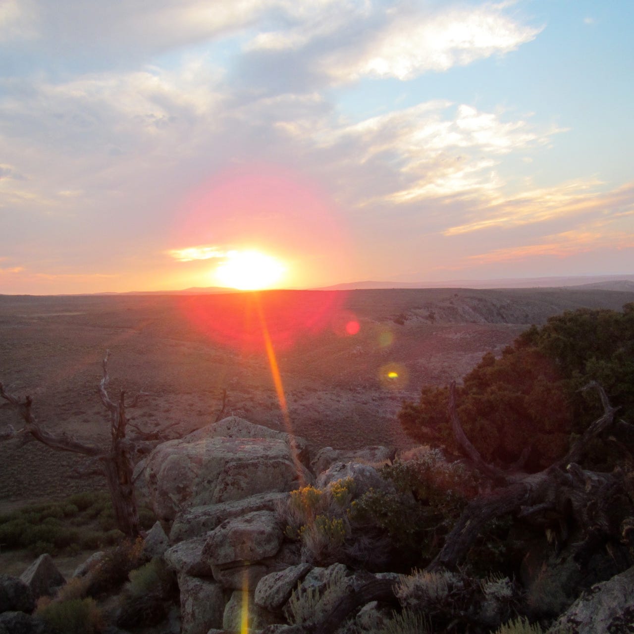 Living, Loving, and Writing Wyoming