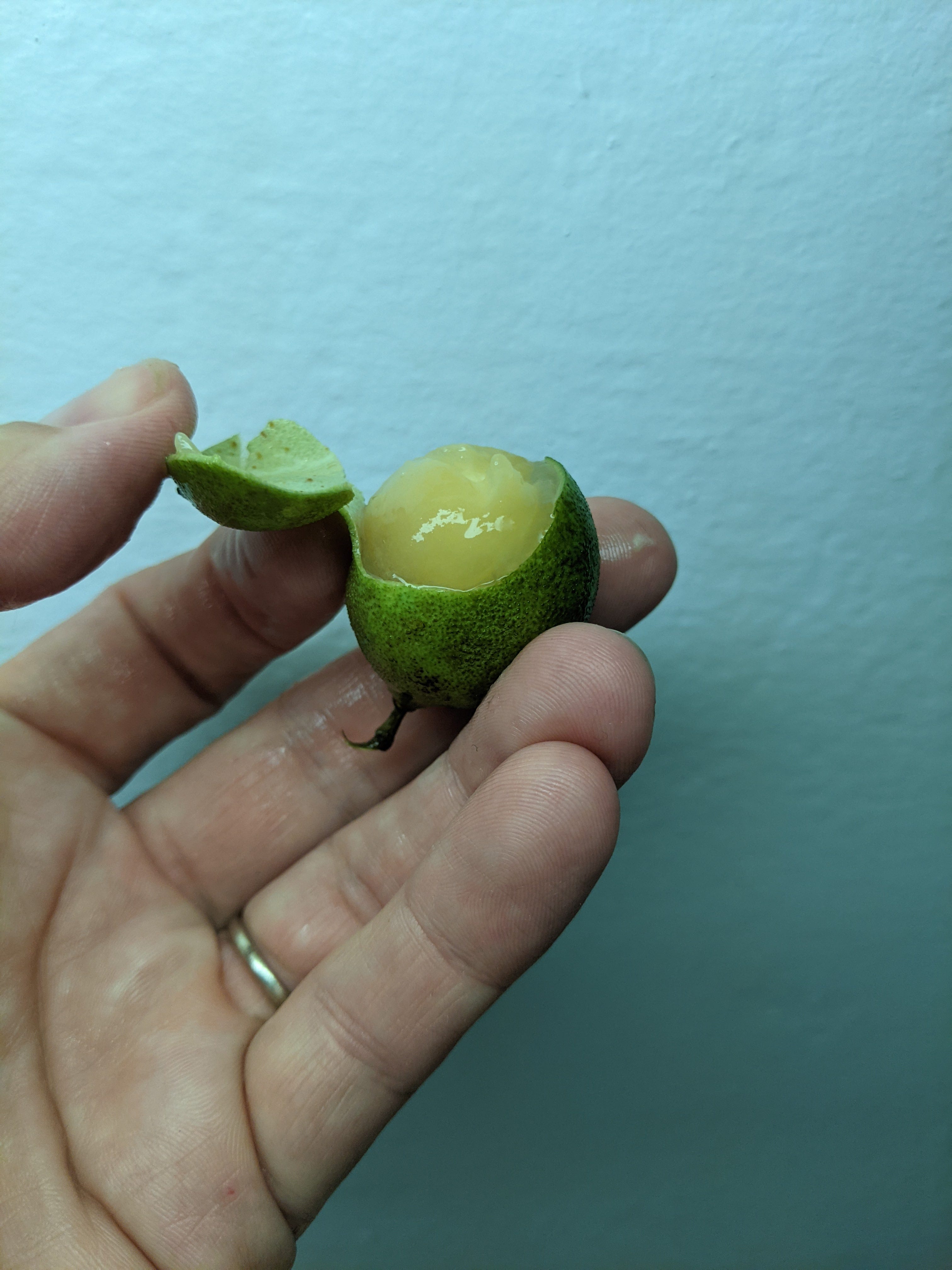 Fruit #1 Quenepa - by Jenna - The Post-San-Juander, image size:3024x4032