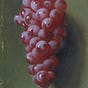 The Grapewife's avatar