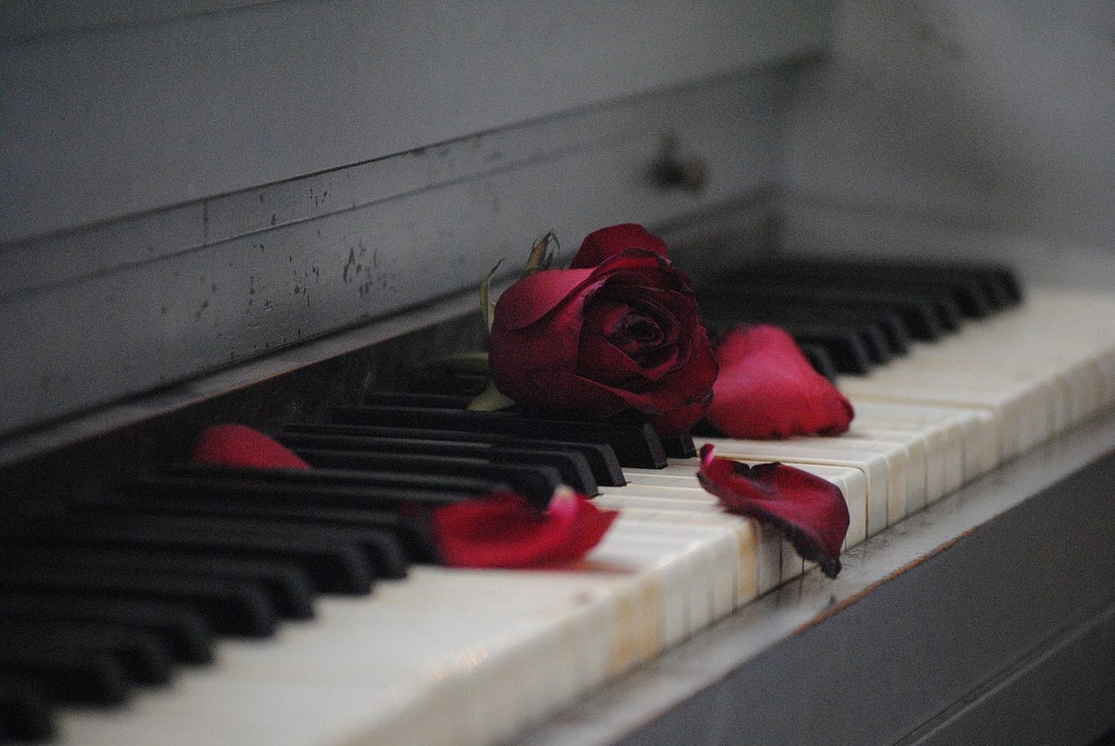 Image shows part of a piano in grey tones, and on it a broken rose, petals spread out around it.