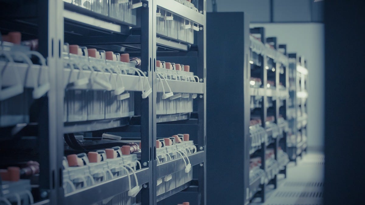 Environmental Groups Urge Congress to Ban Data Centers