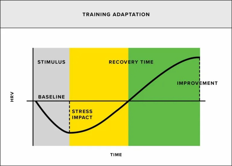 How to adapt your training using heart rate variability.
