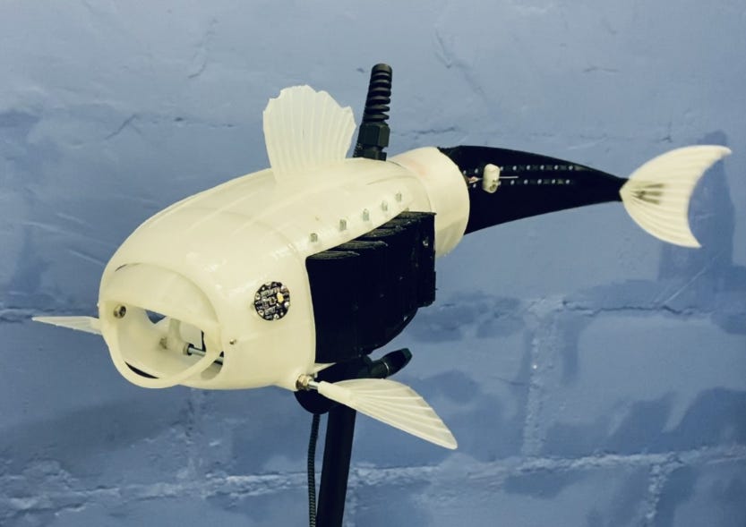 Nettoyer les océans grâce à Gillbert, le robot-poisson écolo et autonome
