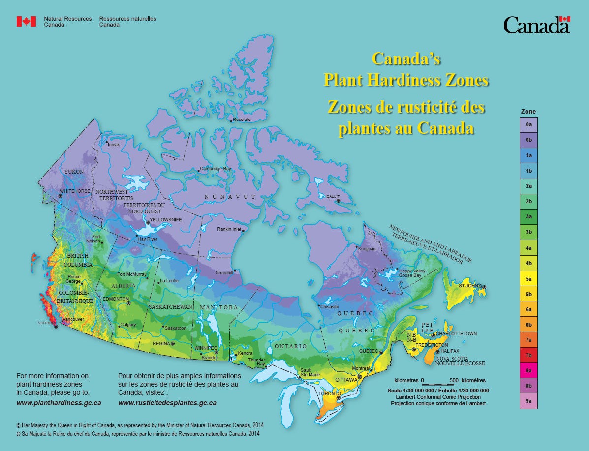 Plant Hardiness Zones: What Do They Tell Us?