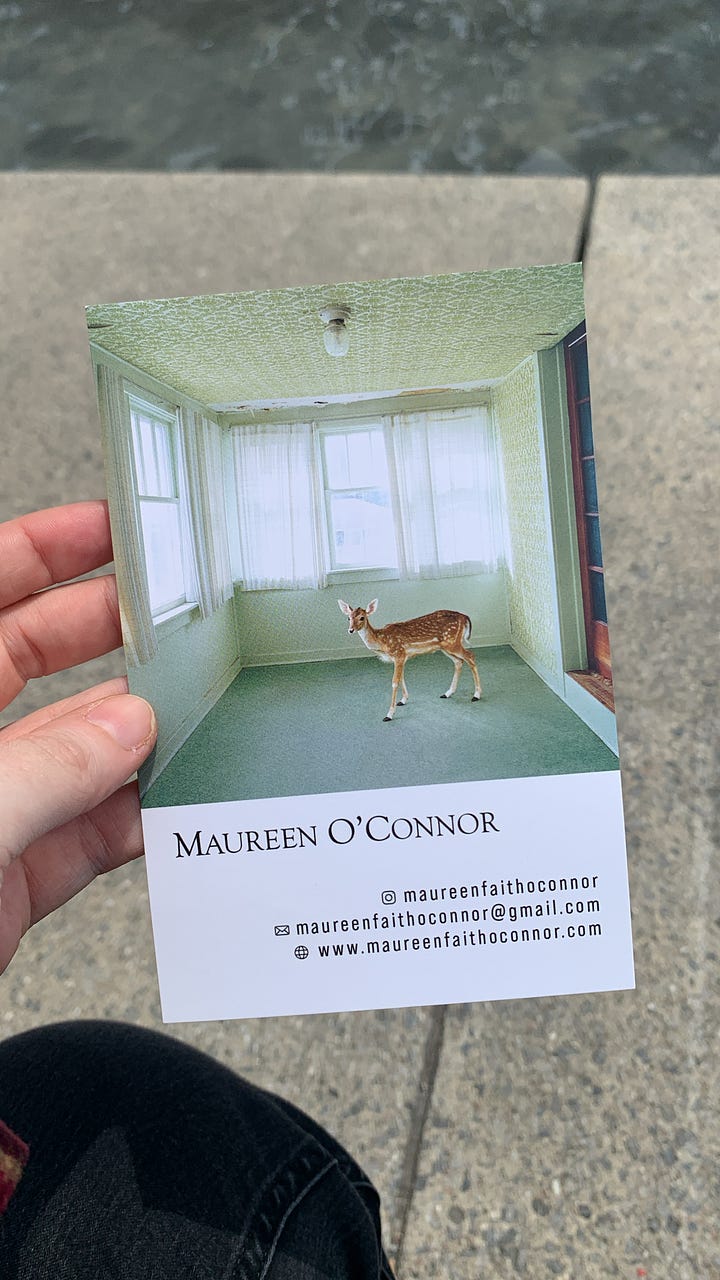Four images of wild animals in various rooms with all the furniture removed. The most striking one is a picture of a deer standing on a pale green carpet in a white room with gauzy white curtains and a patterned ceiling.