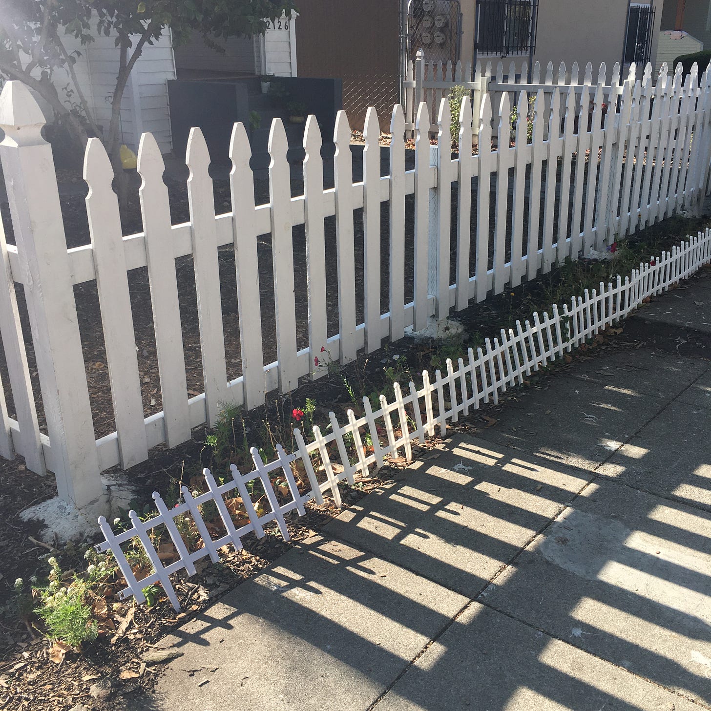 A lawn enclosed by a white picket fence, itself enclosed by another much smaller white picket fence.