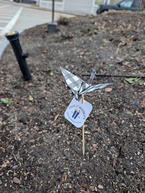 connecting the dots between yoga with Freya and giving away cranes on a stick