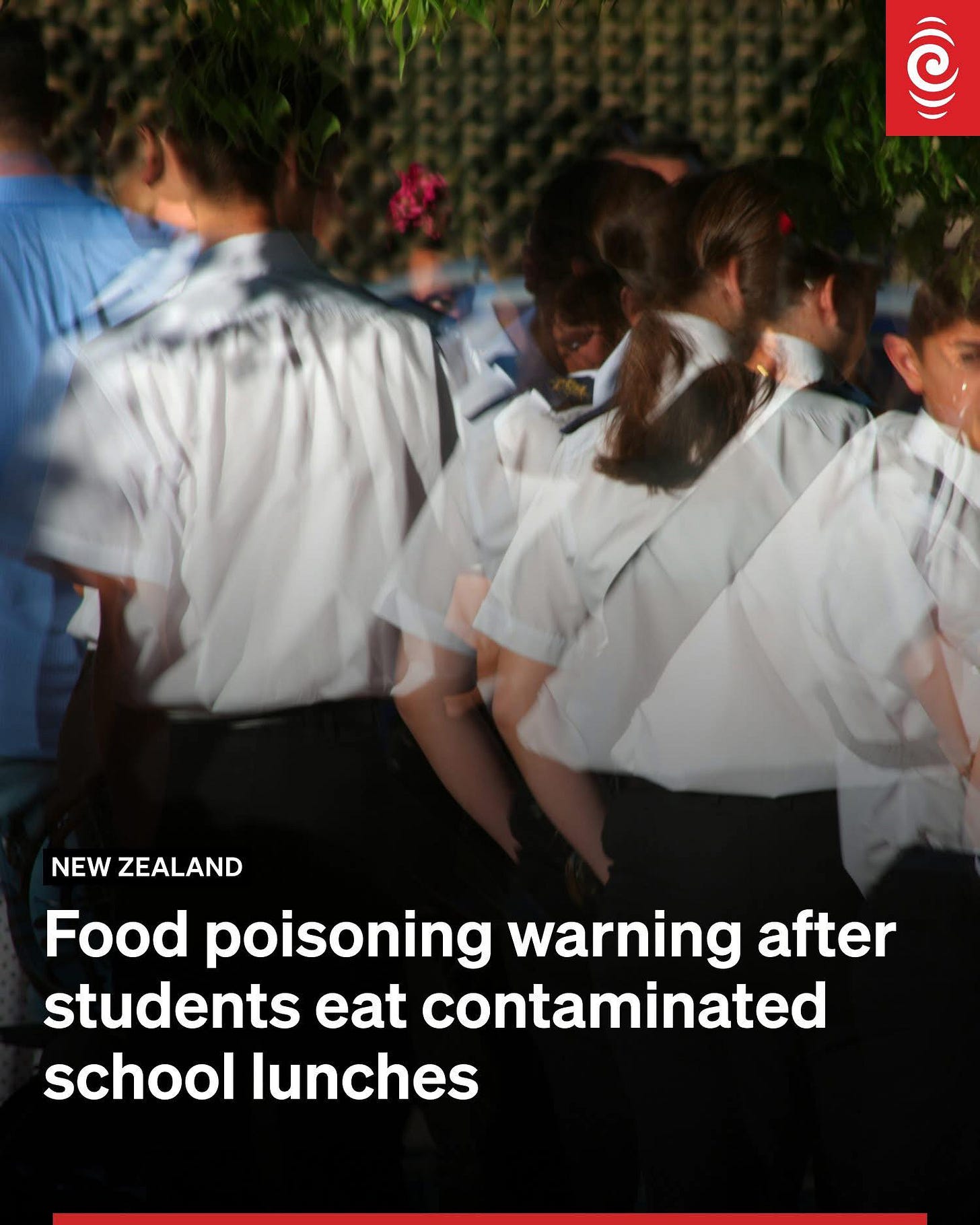 Headline: "Food poisoning warning after Christchurch students eat contaminated school lunches."