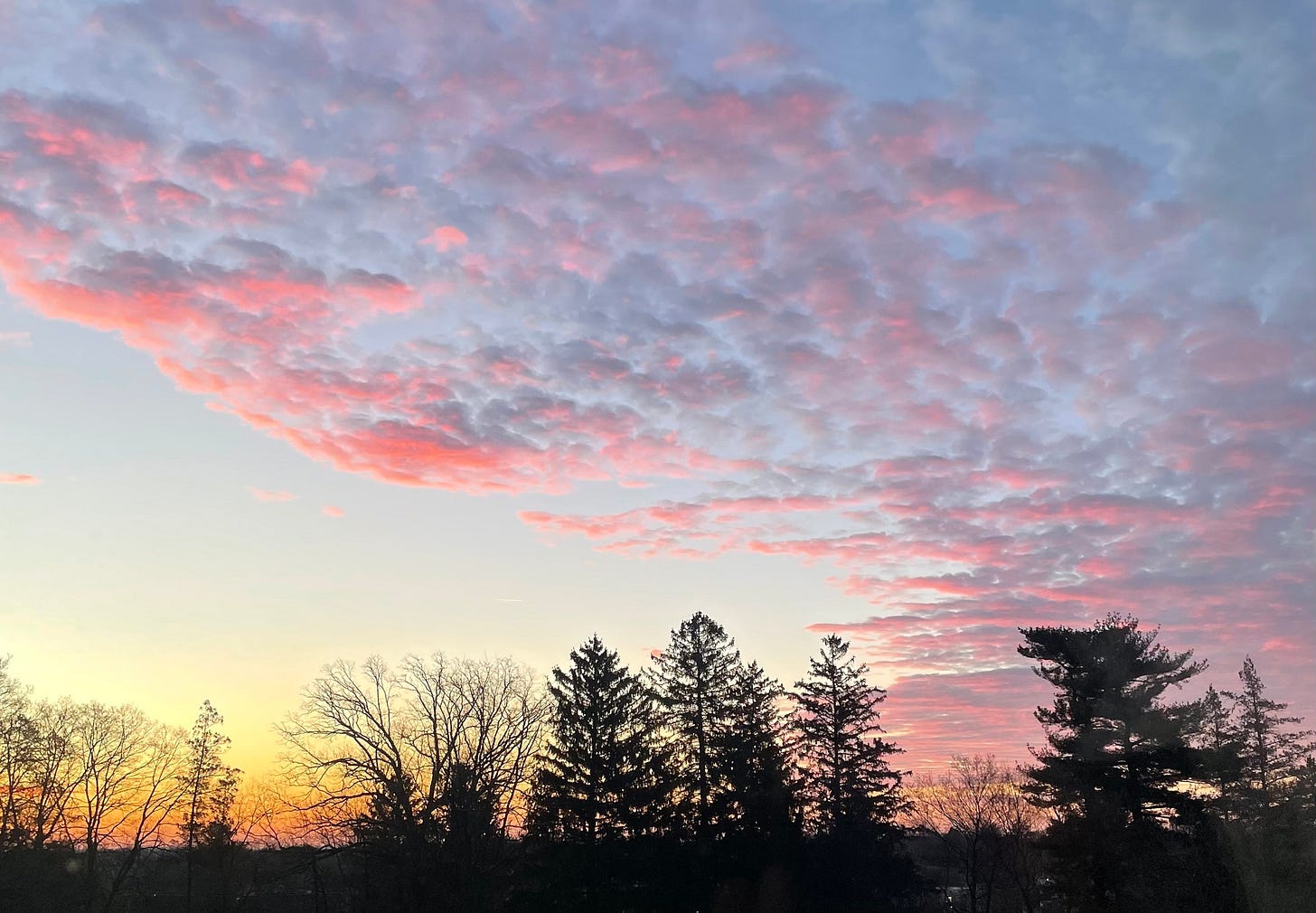 May be an image of twilight, cloud, fog, horizon and tree