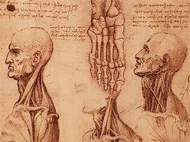 Image result for leonardo da vinci sketch