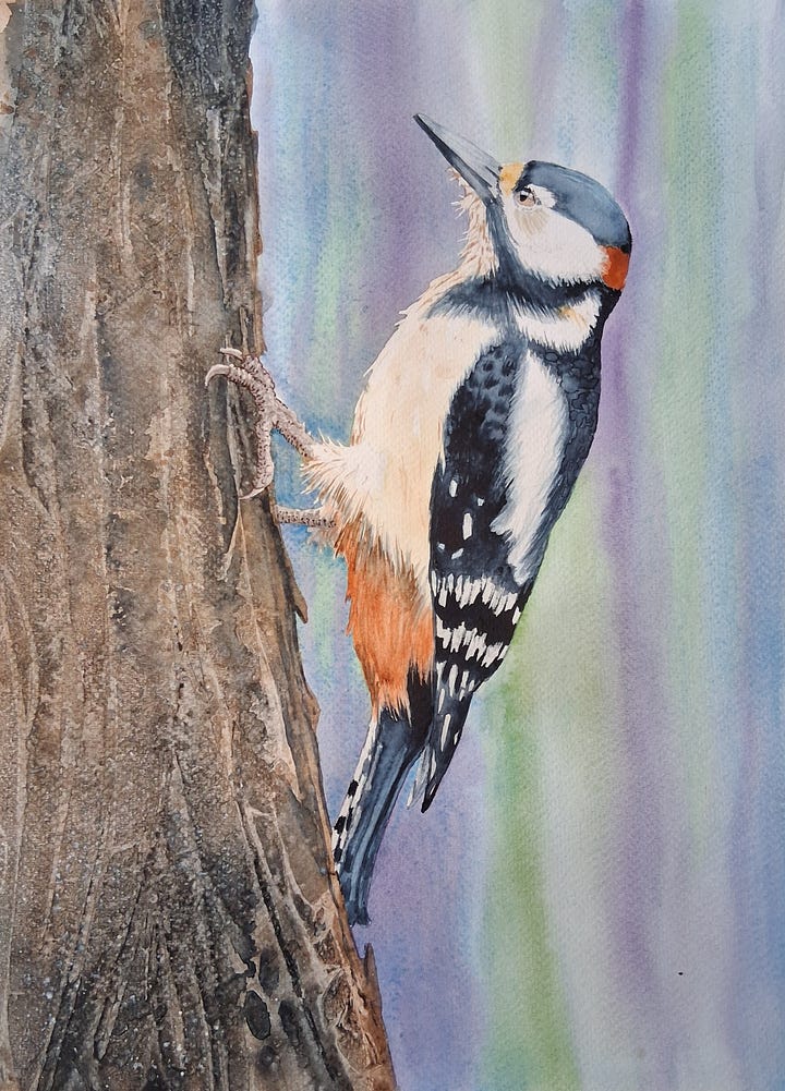 Art in Brittany Class watercolour projects.