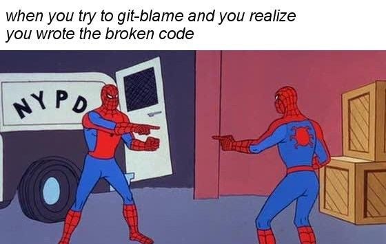 The problem with git blame : r/ProgrammerHumor