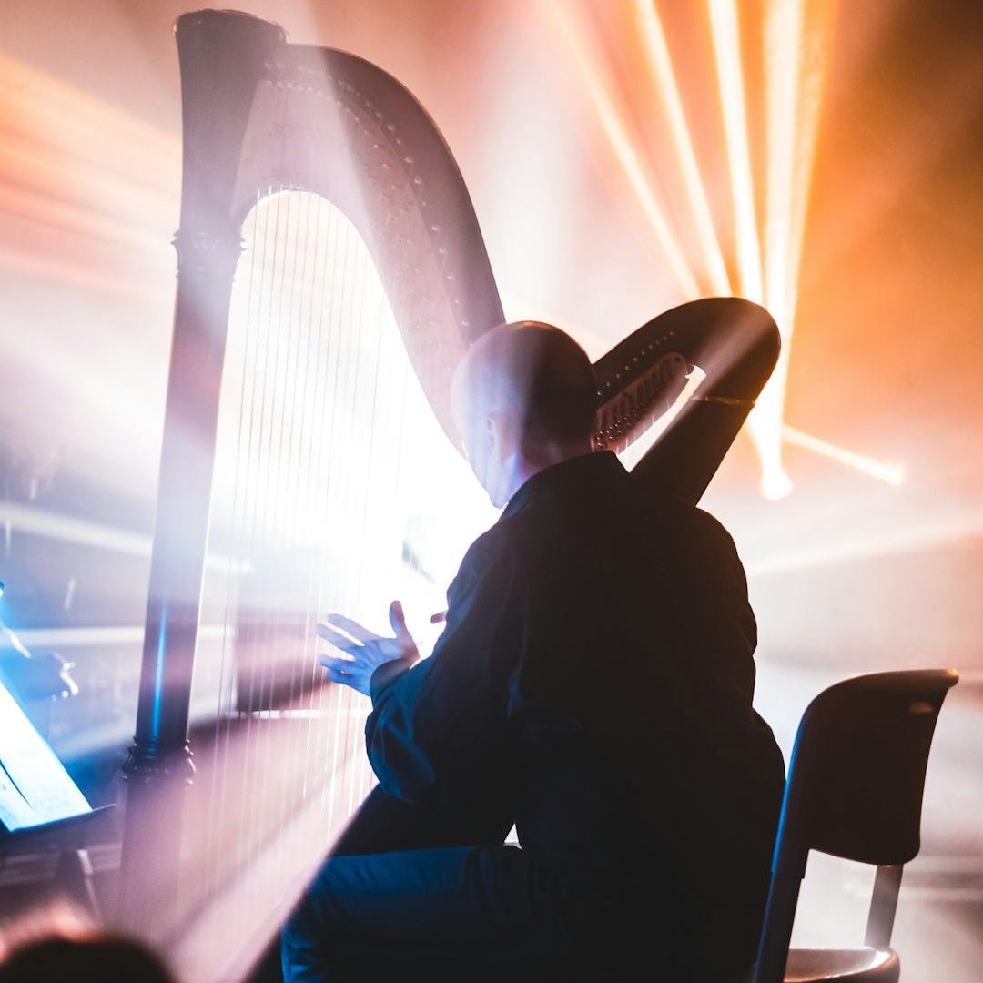 man sitting on chair playing harp