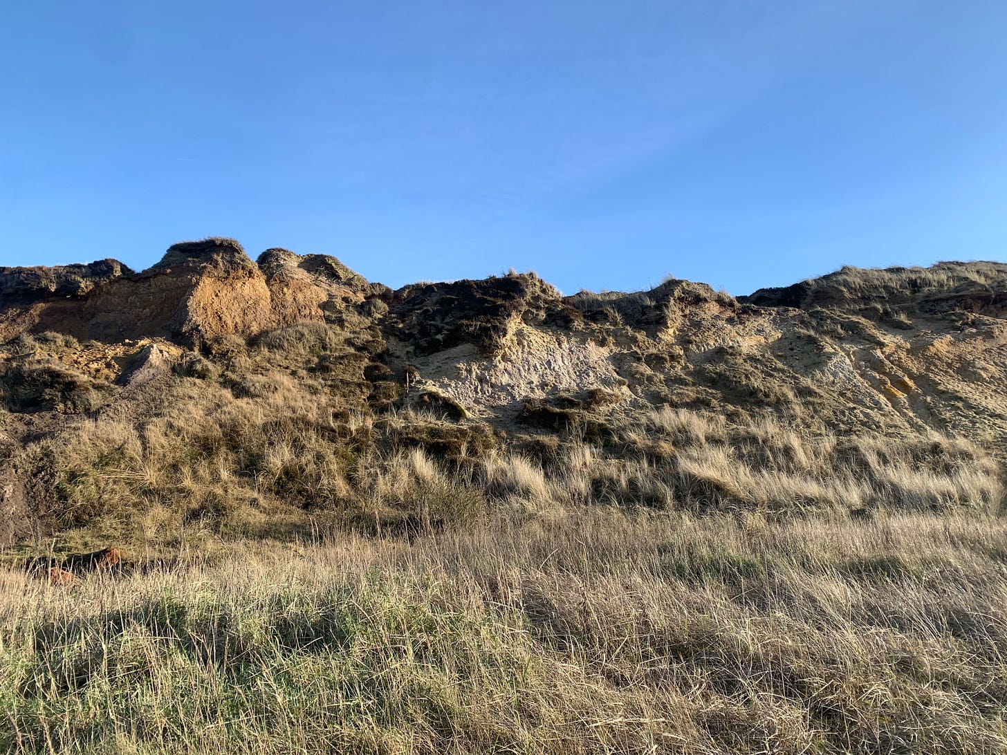 The cliffs of Morsum, with their color variations clearly visible, bathed in afternoon sunlight