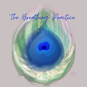 The Breathing Practice with Nikki Costello