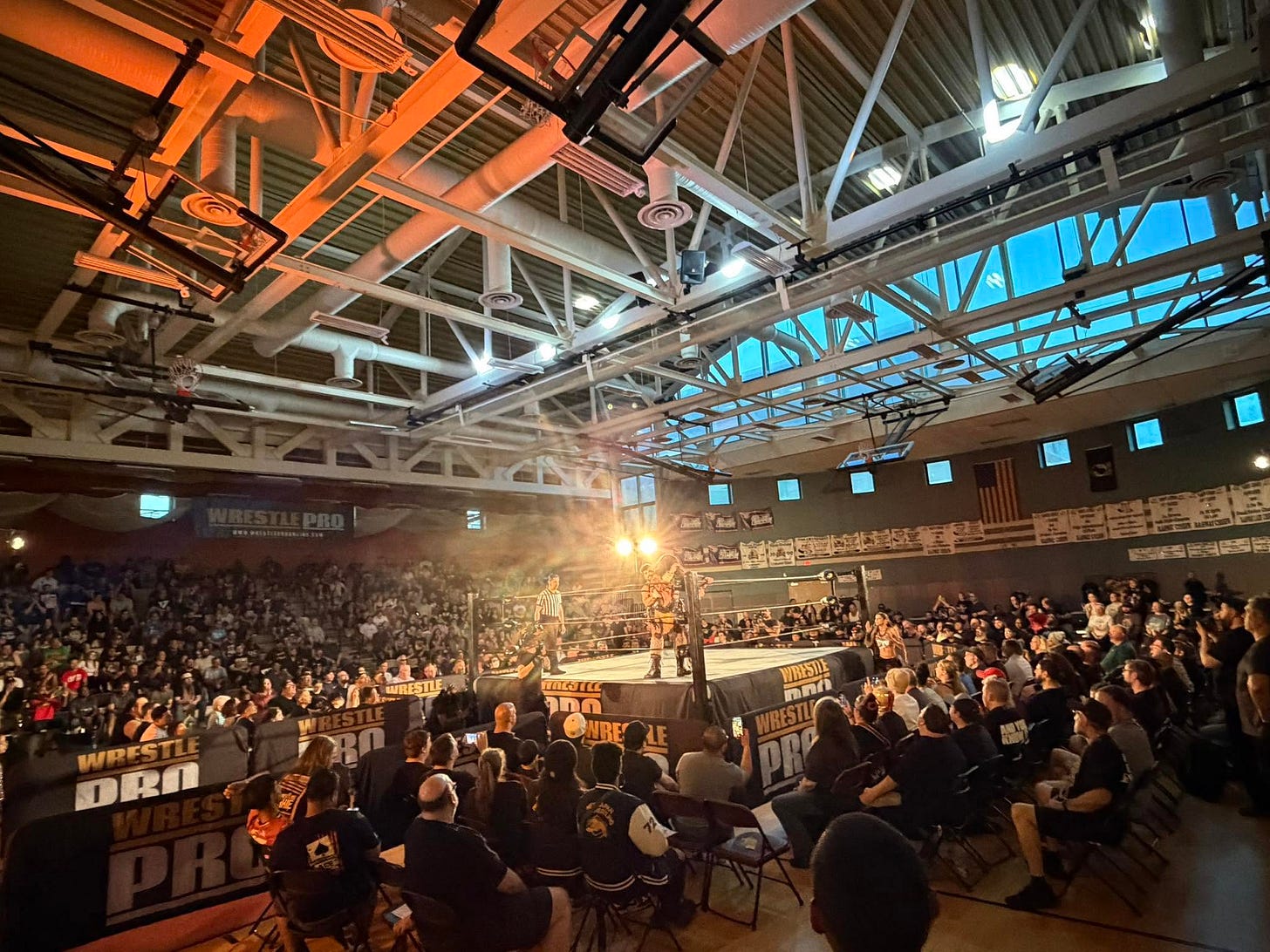 WrestlePro WrestlePro