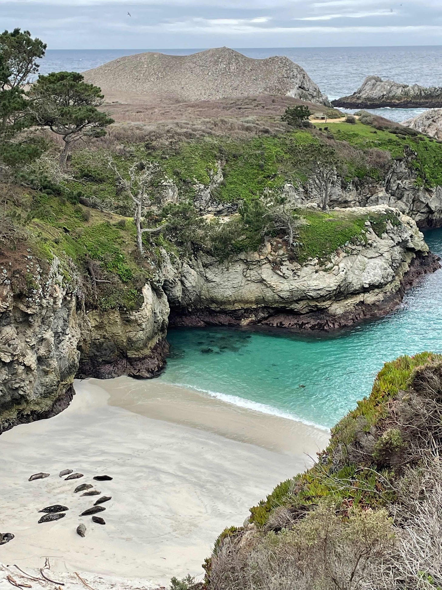 Photo of Point Lobos State Park by Sabrina Simpson