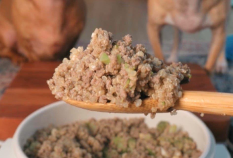 Easy Beef Stew with All Pups Seasoning