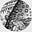 John Patterson Blair's avatar