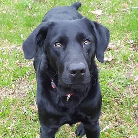 age catches up with murphy