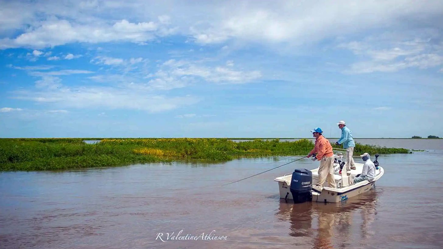The Golden Dorado River Cruiser fishing program is year-round, 1.7 ft. Carolina skiffs with 90 HP Yamaha motors are used.