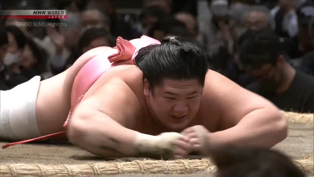 未使用　SUMO STOMP GAIN SUMO 2025年最新】SUMO STOMP gain sumoの人気アイテム - メルカリ