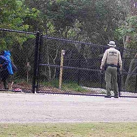 Key Deer Remain at Trapped at Former Prison Site as Advocacy Group, CFK Differ Over Removal Effort