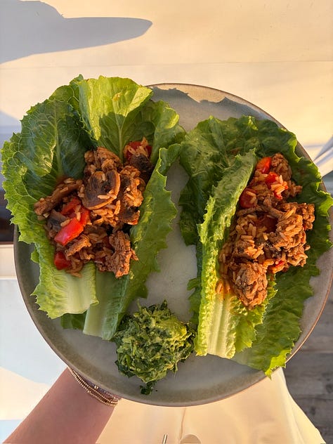 blueberry protein overnight oats, beef stir fry, rotisserie white chicken chili soup, apple cinnamon baked oatmeal casserole, one-pan turkey taco lettuce wraps, chimichurri lentil pasta with roasted chicken thighs, creamy dreamy peanut stir fry, all the greens protein smoothie