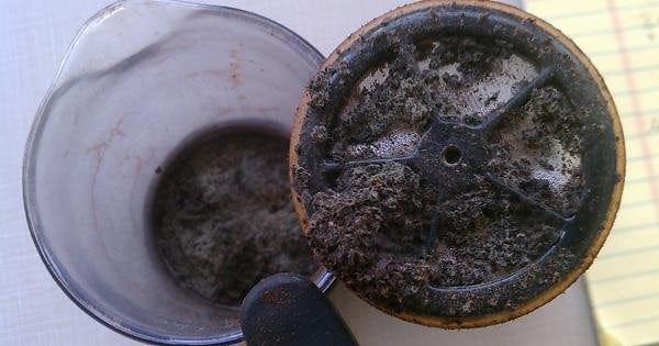 r/Coffee - Always remember to clean your French press before leaving for vacation...