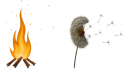 The Spark