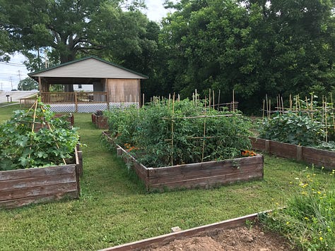 Scenes from creating the garden
