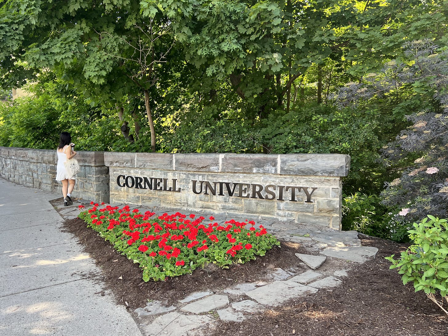 File:Cornell University Sign 20240525.jpg - Wikimedia Commons File:Cornell University Sign 20240525.jpg - Wikimedia Commons