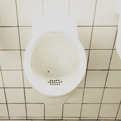  urinal fly