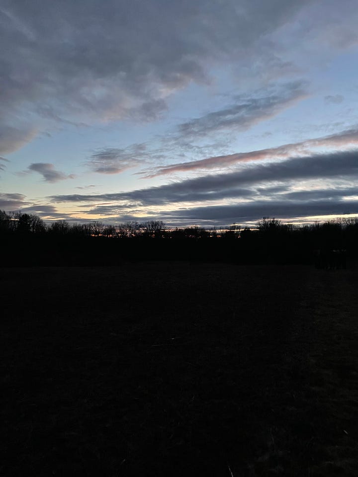 Bird watching at dusk for the woodcock