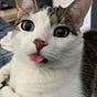Yarnartist's avatar