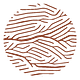 Umit Gunes on the Constructal Law