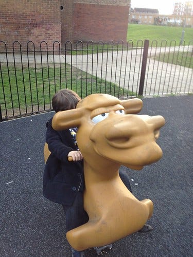 Playground camel or sheep Playground camel or sheep