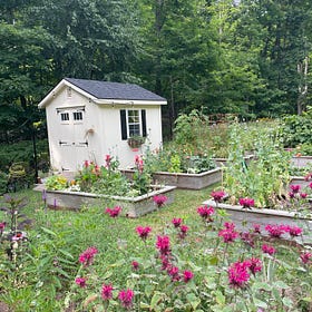 Where Does Your Diet Culture Show Up?